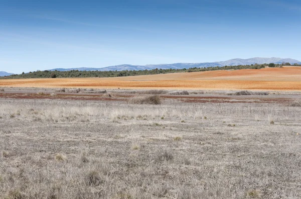 Dried-up lagoons in Puebla de Belena — Stock Photo, Image