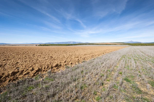 Campos arados y rastrojos en un paisaje agrícola — Foto de Stock
