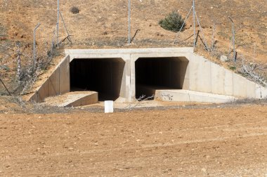 Madrid-Levante yüksek hızlı demiryolu pasajda yaban hayatı