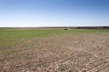 Bir sistem toprak ülke tarım alanlarında arpa