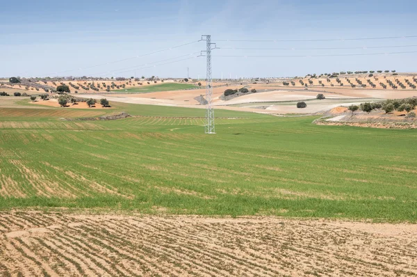 Paisagem de mosaico agrícola na província de Toledo — Fotografia de Stock