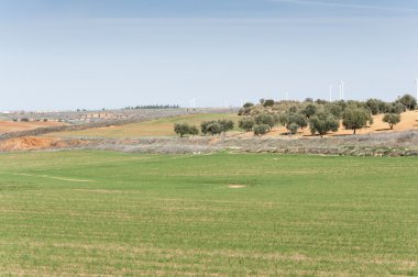 Toledo ili tarım mozaik manzara