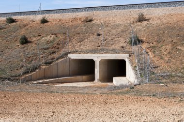 Madrid-Levante yüksek hızlı demiryolu pasajda yaban hayatı