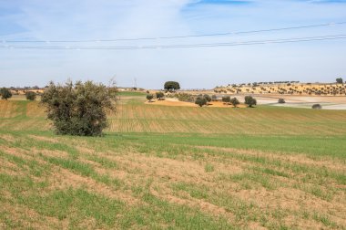 Tarım mozaik manzara Toledo Eyaleti, İspanya