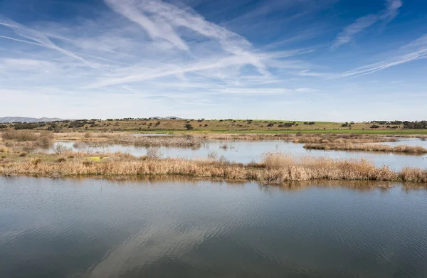 Feuchtgebiete im Zusammenhang mit dem Fluss Guadiana — Stockfoto