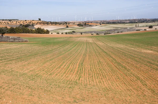 Agrarische mozaïek landschap in de Spaanse provincie Toledo, Spanje — Stockfoto