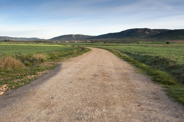 Camino de tierra en un paisaje agrícola en La Mancha — Foto de Stock