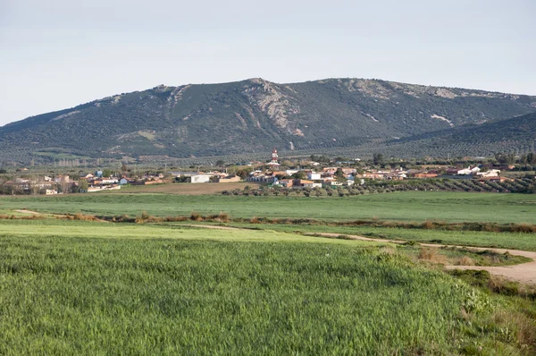 Liten by i ett odlingslandskap i La Mancha — Stockfoto