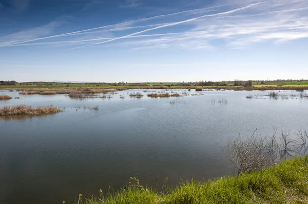 Wetlands associated with de River Guadiana — Stock Photo, Image