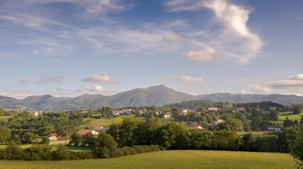 Bossen Weiden Gemeente Sare Een Gemeente Het Franse Departement Pyrnes — Stockfoto