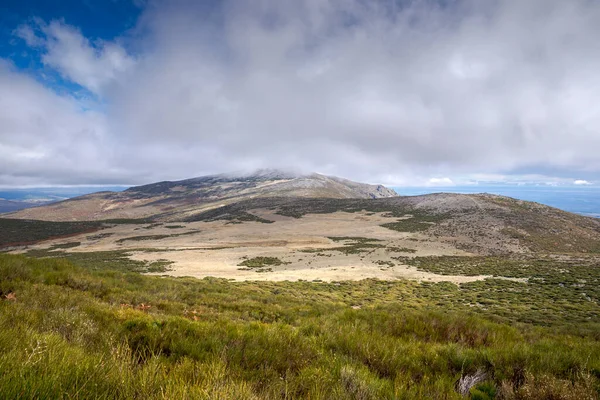 Cytisus Oromedelaneus Magas Hegyvidéki Bozótjai Fénykép Guadarrama Hegység Bustarviejo Település — Stock Fotó