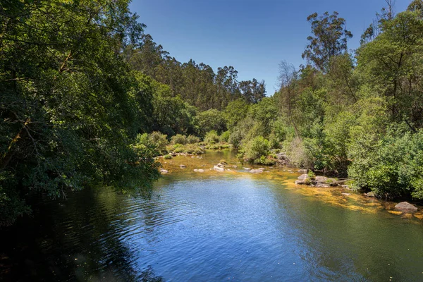 Vistas Río Verdugo Foto Tomada Municipio Sotomayor Provincia Pontevedra Galicia — Foto de Stock