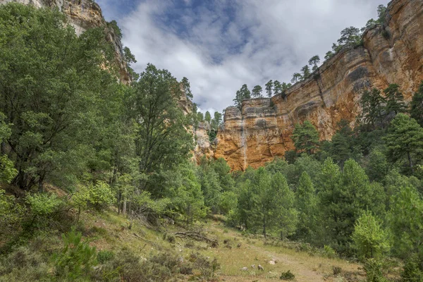 Uitzicht Socarrado Vallei Het Natuurpark Serrania Cuenca Spanje — Stockfoto