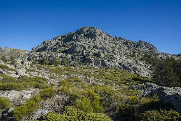 Hochgebirgs Buschland Nationalpark Guadarrama Gebirge Provinz Madrid Spanien — Stockfoto