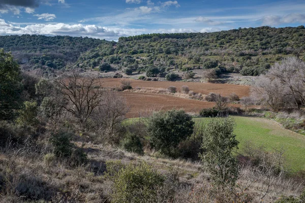 Mosaic Landscape Municipality Olmeda Las Fuentes Province Madrid Spain — Stock Photo, Image