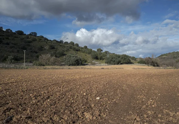 Ploughed Fields Municipality Olmeda Las Fuentes Province Madrid Spain — ストック写真