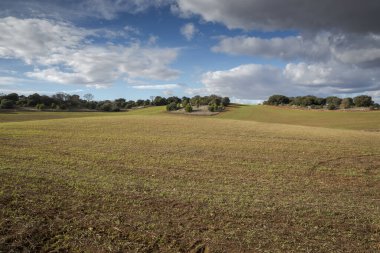 İspanya 'nın Madrid ilindeki Olmeda de las Fuentes belediyesine bağlı tahıl ekinleri