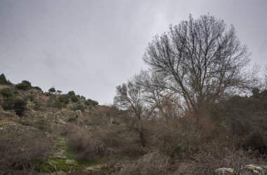 İspanya 'nın Madrid eyâletindeki Colmenar Viejo belediyesinden geçen Manzanares Nehri' nin manzarası