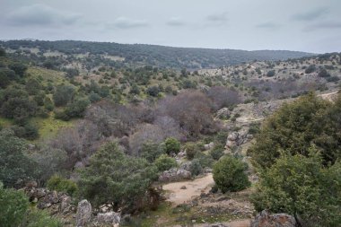 İspanya 'nın Madrid eyâletindeki Colmenar Viejo belediyesinden geçen Manzanares Nehri' nin manzarası
