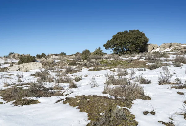 Сніжний Пейзаж Муніципалітеті Колменар Єхо Іспанія Після Бурі Філомена — стокове фото
