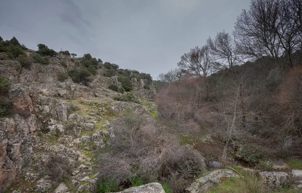 Vue Sur Rivière Manzanares Long Son Cours Travers Municipalité Colmenar — Photo