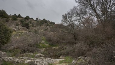 İspanya 'nın Madrid eyâletindeki Colmenar Viejo belediyesinden geçen Manzanares Nehri' nin manzarası