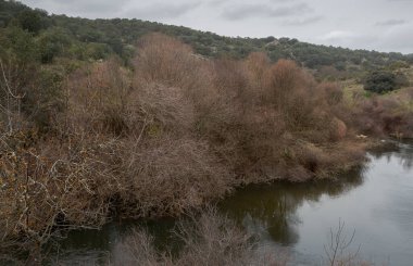 İspanya 'nın Madrid eyâletindeki Colmenar Viejo belediyesinden geçen Manzanares Nehri' nin manzarası