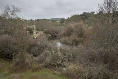 İspanya 'nın Madrid eyâletindeki Colmenar Viejo belediyesinden geçen Manzanares Nehri' nin manzarası