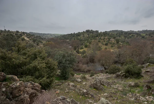 Uitzicht Manzanares Langs Rivier Door Gemeente Colmenar Viejo Provincie Madrid — Stockfoto