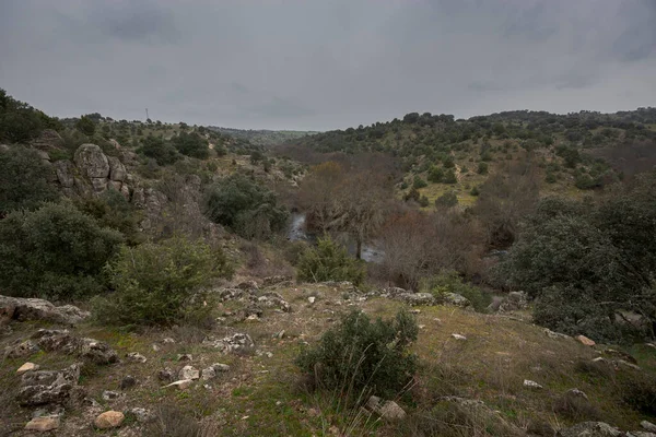 Uitzicht Manzanares Langs Rivier Door Gemeente Colmenar Viejo Provincie Madrid — Stockfoto