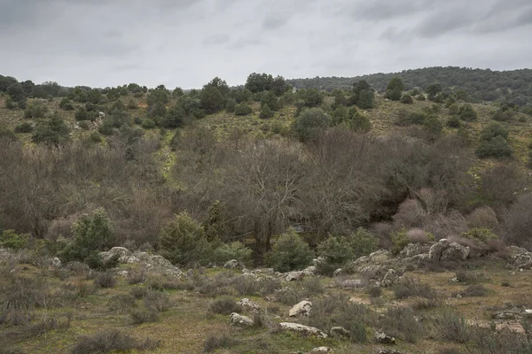 İspanya 'nın Madrid eyâletindeki Colmenar Viejo belediyesinden geçen Manzanares Nehri' nin manzarası