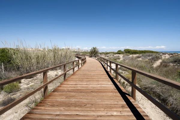 Passerella in legno — Foto Stock