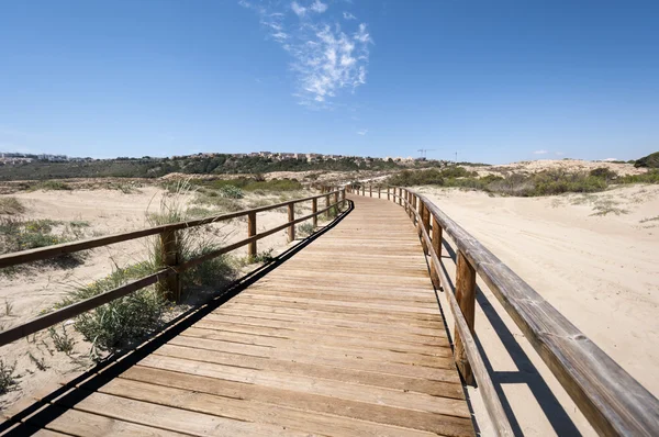 Houten loopbrug — Stockfoto