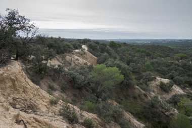 Monte del Pardo, Madrid, İspanya 'da vadileri ve dereleri olan aşınmış yamaçlar. Arazi önemli bir erozyonla işaretlenmiştir, bitki örtüsü öncelikle çalılardan ve bulutlu bir gökyüzünün altındaki dağınık ağaçlardan oluşur.