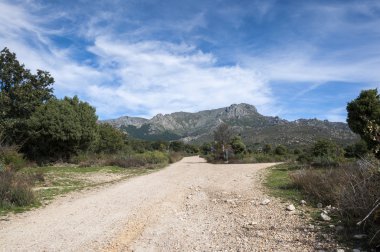 La Barranca Vadisi'nin sayısı