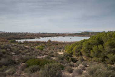 Clot de Galvany, Alicante, İspanya 'da yarı kurak bir arazi, dağınık çalılar, çim yamaları, küçük bir göl ve bulutlu bir gökyüzünün altındaki uzak dağlar