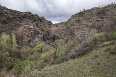 Bayarcal, Almeria, İspanya 'daki Palancon deresi dramatik bulutlu gökyüzü altında engebeli uçurumlar ve yemyeşil bitki örtüsü sergiliyor.