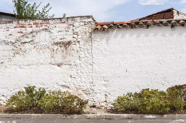 Traditional whitewashed walls — Stock Photo, Image