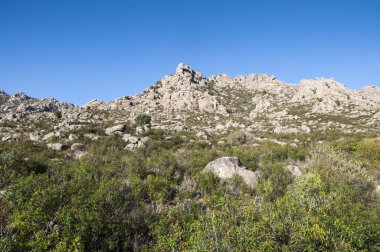 Sierra de Los Porrones Akdeniz bitki örtüsü