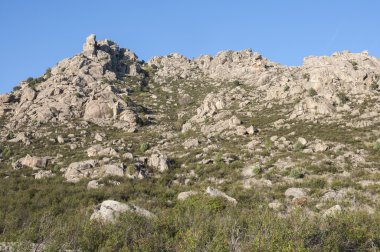 Sierra de Los Porrones Akdeniz bitki örtüsü