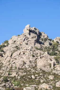 Sierra de Los Porrones Akdeniz bitki örtüsü