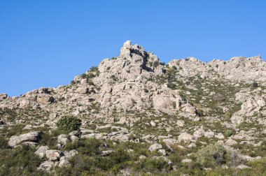 Sierra de Los Porrones Akdeniz bitki örtüsü