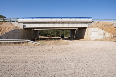Yaban hayatı geçiş bir otoyol altında