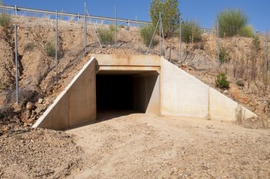 Bir otoyolda pasajda yaban hayatı