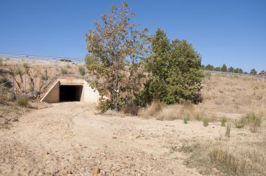 Bir otoyolda pasajda yaban hayatı