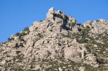 Sierra de Los Porrones Akdeniz bitki örtüsü