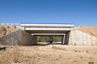 Yaban hayatı geçiş bir otoyol altında