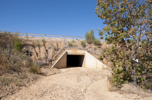 Wildlife passage under a motorway