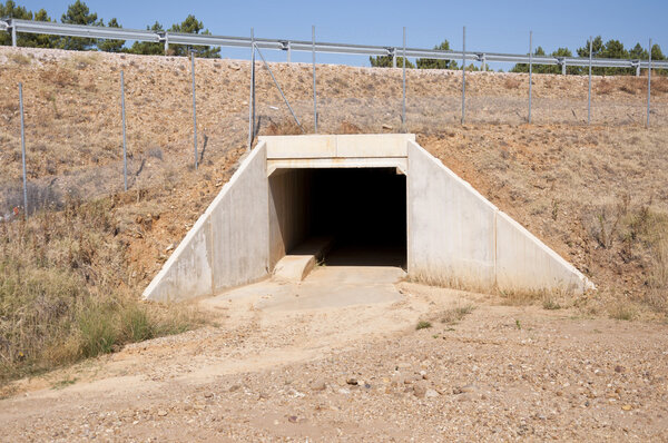 Wildlife passage under a motorway