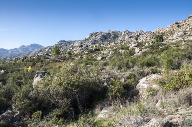 Sierra de Los Porrones Akdeniz bitki örtüsü